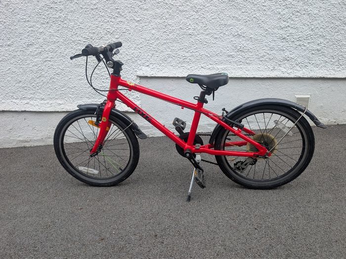 Frog Bike 55