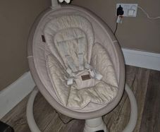 Nested Willow Baby Swing