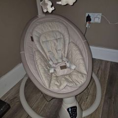Nested Willow Baby Swing