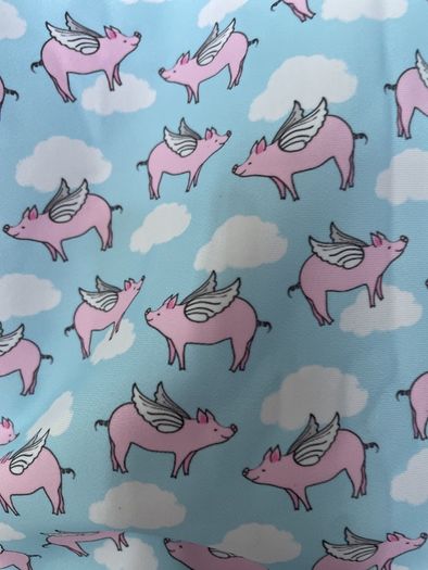 Pigs Will Fly Swimsuit by La Playa
