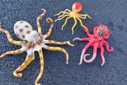 Sea creatures