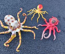 Sea creatures