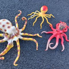 Sea creatures