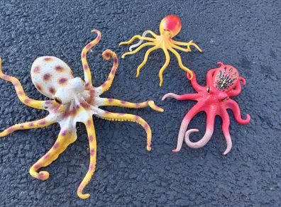 Sea creatures