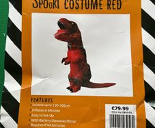 dress up