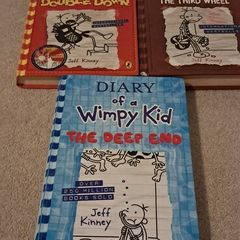 Diary of a Wimpy Kid 3 Books