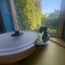 pro ject turntable Image 2