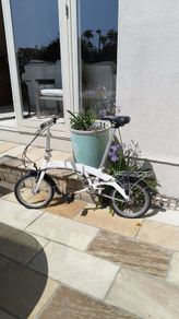 Dahon Curve Folding Bike