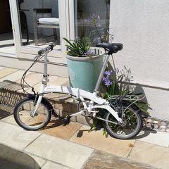 Dahon Curve Folding Bike