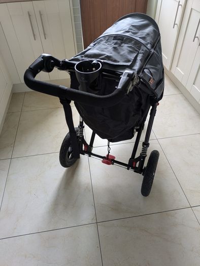 Out N About Buggy