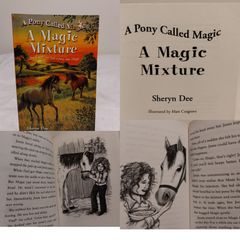 A Pony Called Magic Children,s Story Book