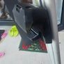Thule roof bars Image 3