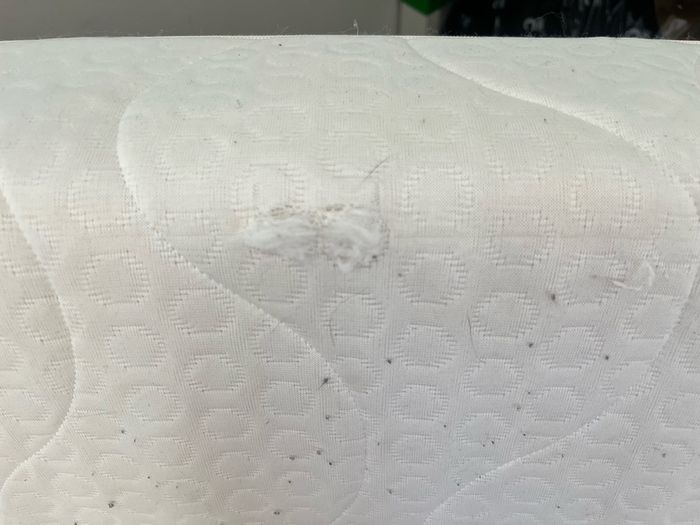 Single mattress