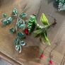 Christmas wreaths Picks and Holly Image 5