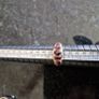 9ct gold ruby ring Image 6
