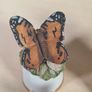Scotland Direct Butterfly thimble set collection x 15 Sutherland England vintage Image 8