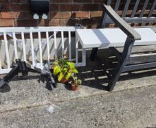 free mirror, shelf, plant etc..