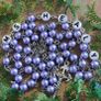 Gifts for all occasions Image 8