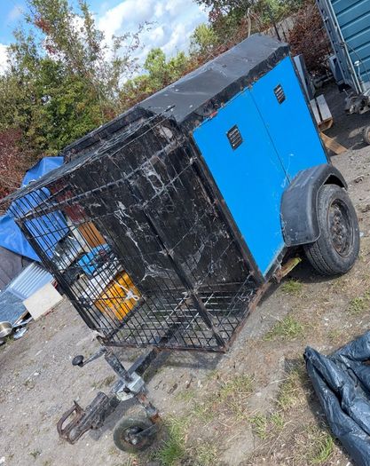dog trailer