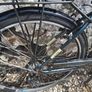 Ridgeback Avenida 6 Speed Image 2