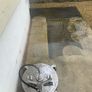 Power Washing Image 6