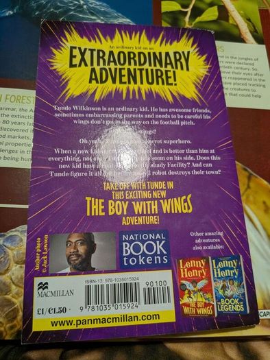 the boy with wings