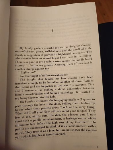 The Accompanist By Robert L. Quinn. First Edition Paperback In Good Condition.