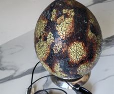 Decorative lamp