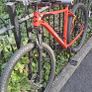 Cyclision Corph 7 Thunder Gold Mountain Image 3