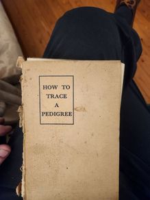 How To Trace A PEDIGREE in the British Isles. By H.A C. Second Edition.  1924. In Fair condition.