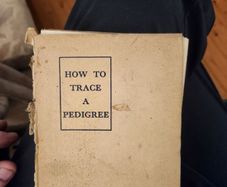 How To Trace A PEDIGREE in the British Isles. By H.A C. Second Edition.  1924. In Fair condition.