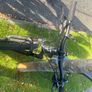 giant roam bike Image 2