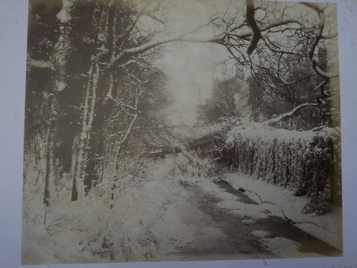 Victorian Photograph Album Photo Card Album  Antique Cabinet Card Photographs Photos 21 Page 42 Photos