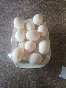 duck eggs