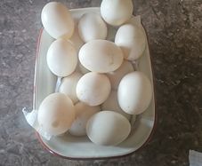 duck eggs