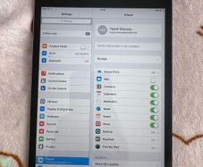 Ipad mini
