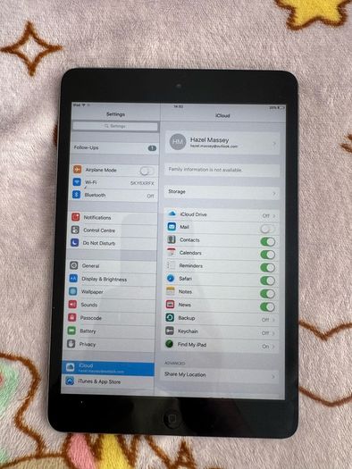 Ipad mini