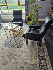 Two Retro Chairs