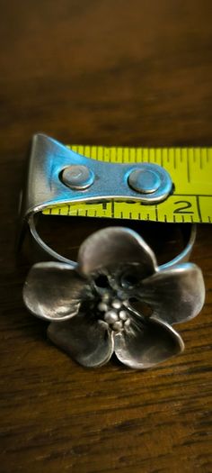 Silver set . Earrings, pendant, ring.