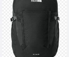 North face bag