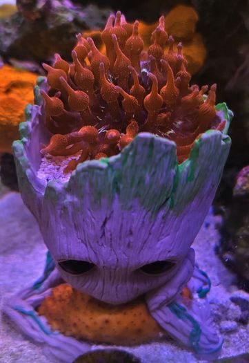 Coral Encrusted Groot 3D Printed