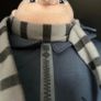 Despicable Me GRU Image 3