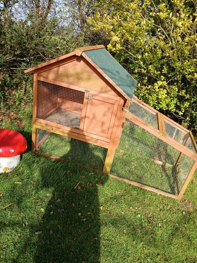 rabbit house