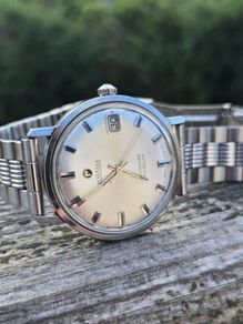 Vintage Roamer Stingray