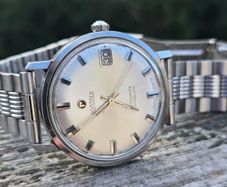 Vintage Roamer Stingray