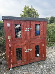 chicken coop can be used for  rabbits  also