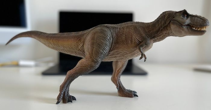 Premium Collectable Jurassic Park/King Kong Collection (5 figures)