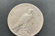 Silver Dollar USA