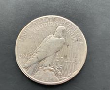 Silver Dollar USA