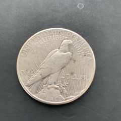 Silver Dollar USA